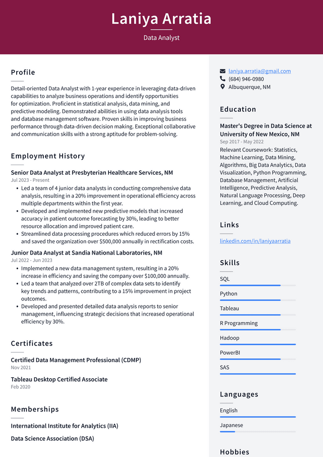 IBM Data Analyst Resume Example