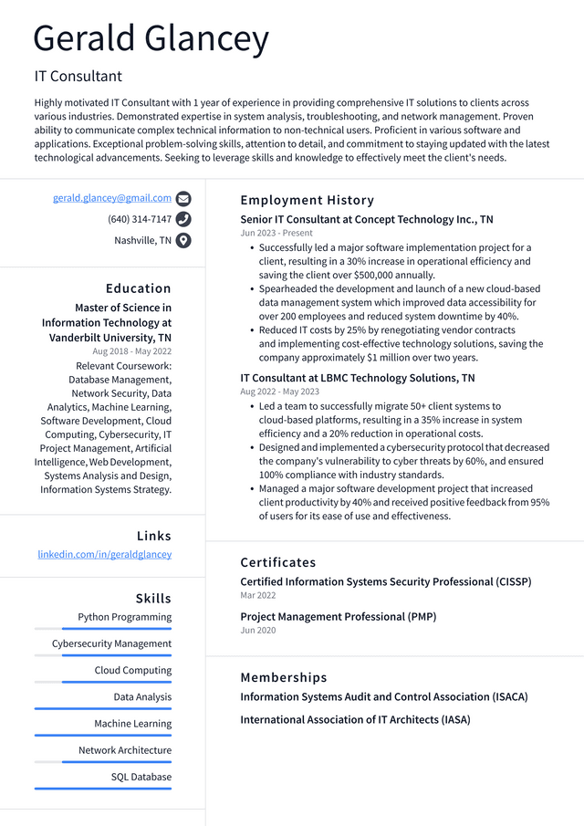 IBM IT Consultant Resume Example