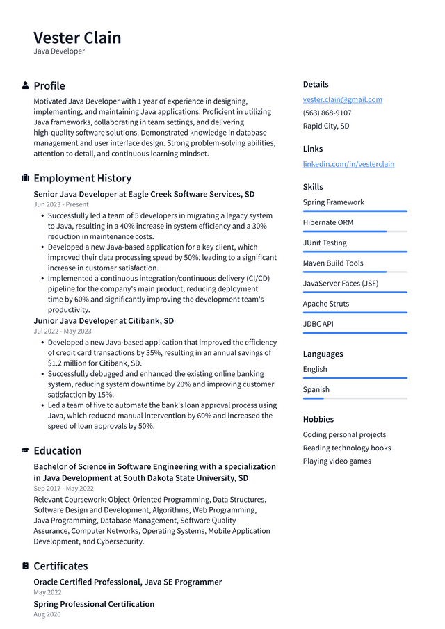 IBM Java Developer Resume Example