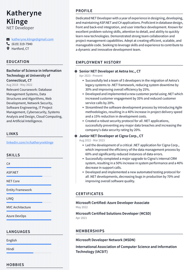 IBM NET Developer Resume Example