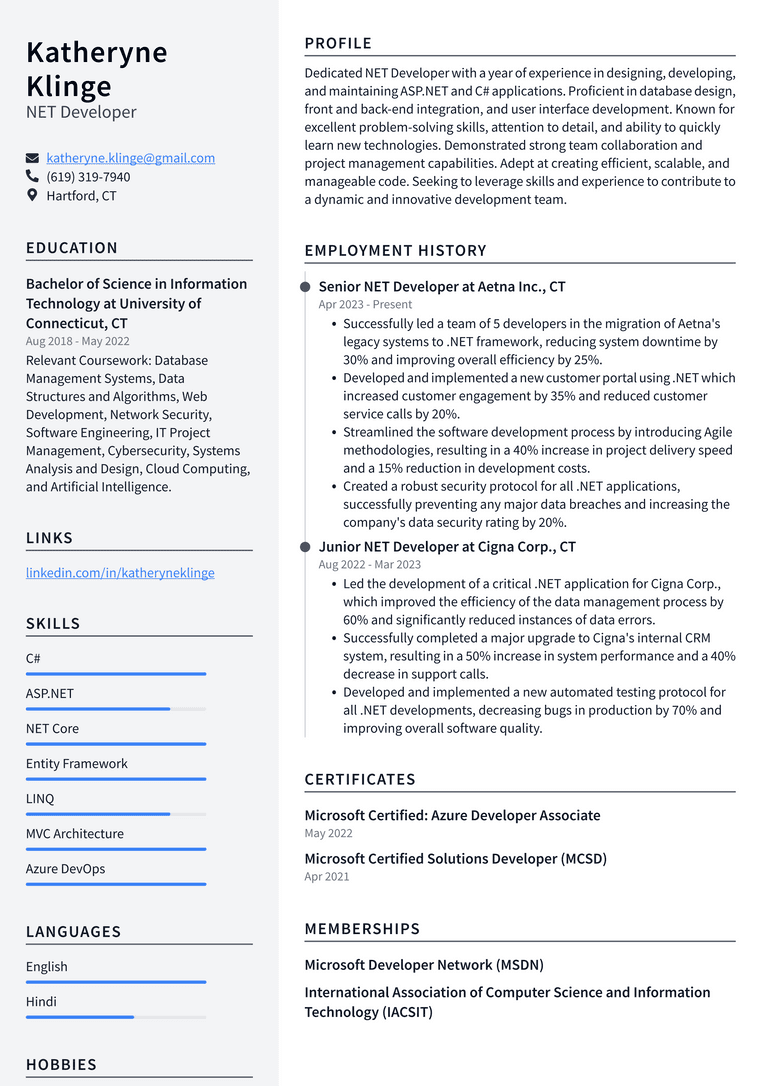 IBM NET Developer Resume Examples | ResumeCat