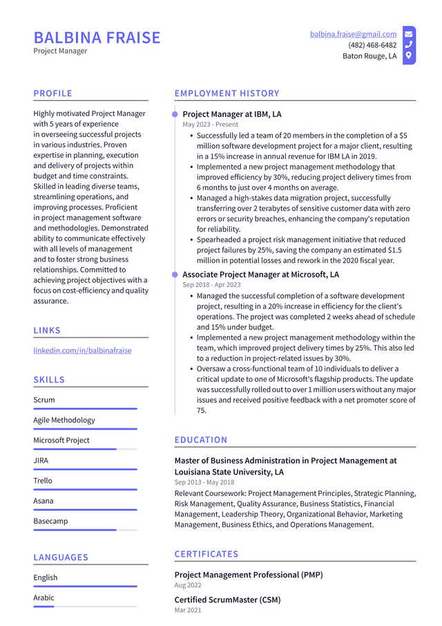 IBM Project Manager Resume Example