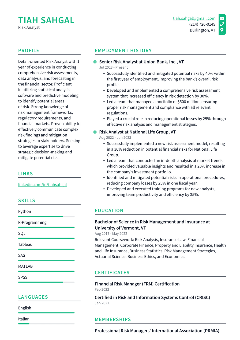 Professional Risk Resume Example IBM Risk Analyst Resume Examples | ResumeCat