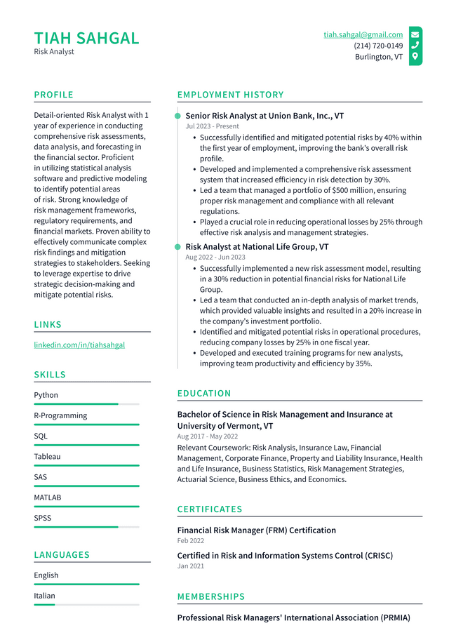 IBM Risk Analyst Resume Example