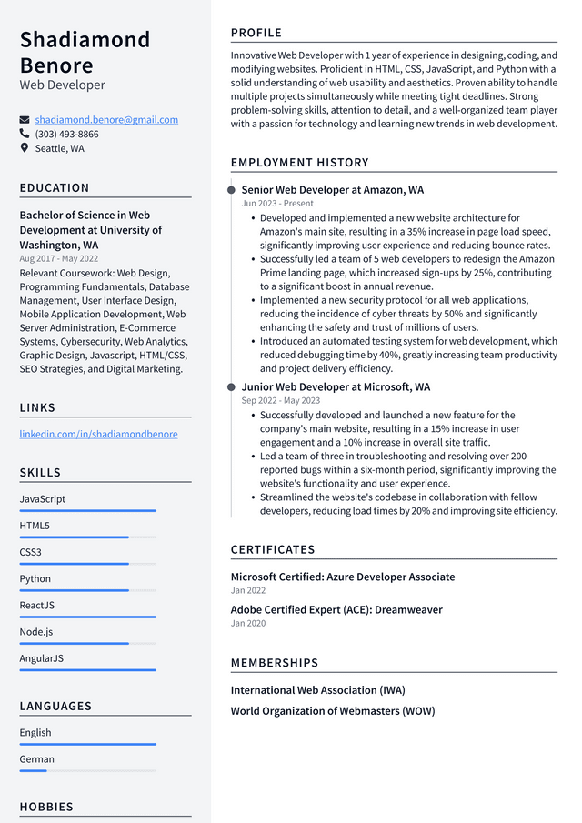 IBM Web Developer Resume Example