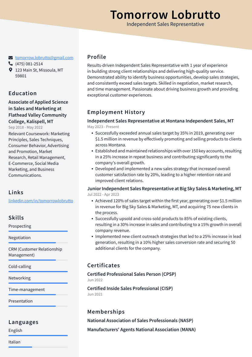 Independent Sales Representative Resume Example