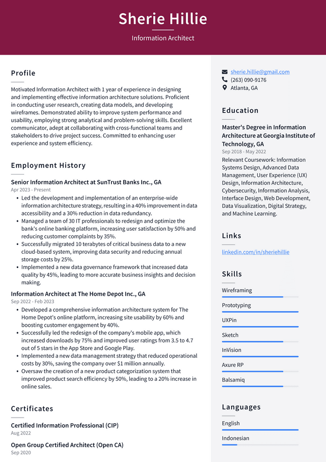 LinkedIn Information Architect Resume Example