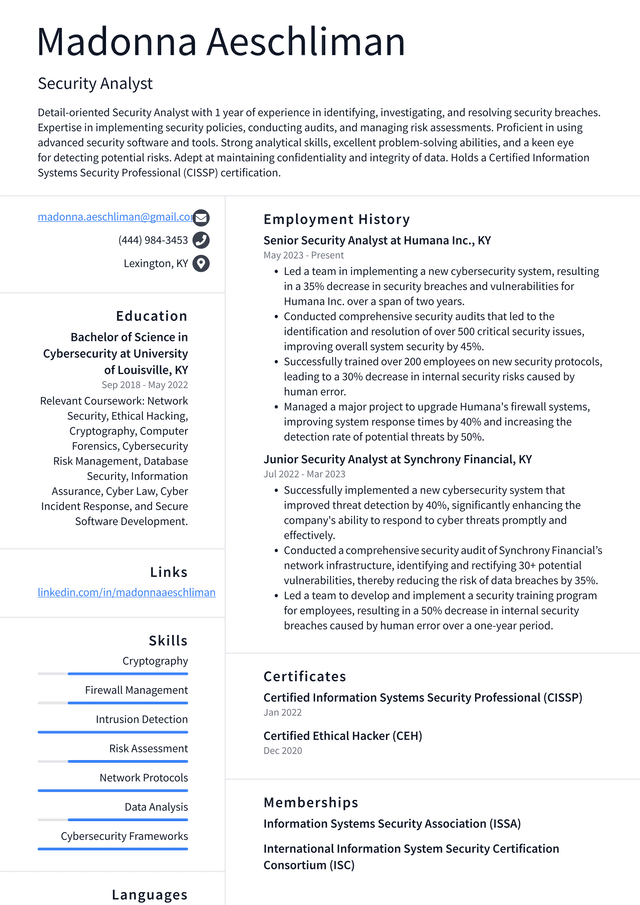 LinkedIn Security Analyst Resume Example