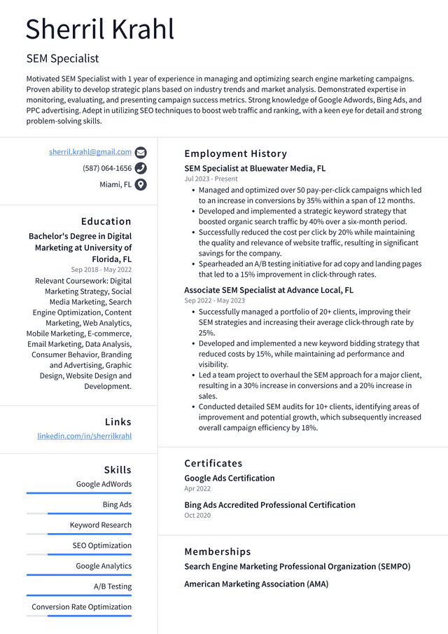 LinkedIn SEM Specialist Resume Example