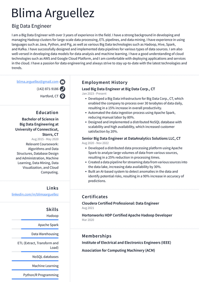 Meta Big Data Engineer Resume Example