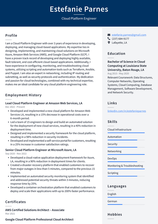 Meta Cloud Platform Engineer Resume Example