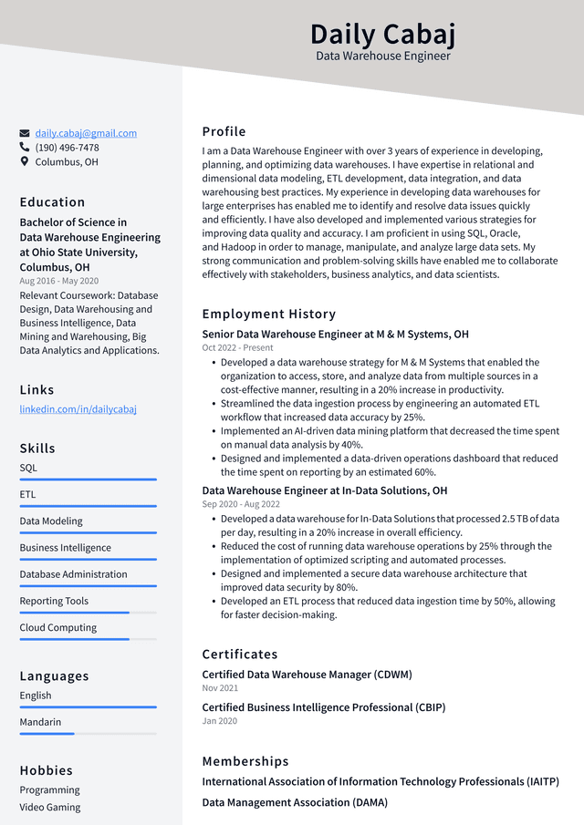 Meta Data Warehouse Engineer Resume Example