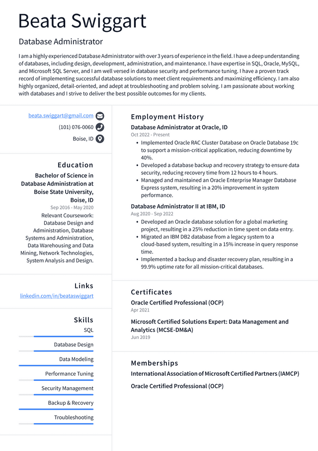 Meta Database Administrator Resume Example