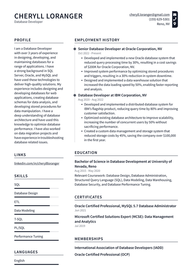 Meta Database Developer Resume Example