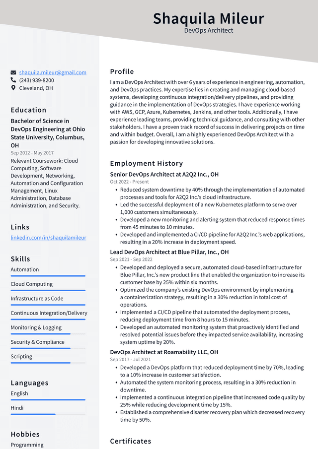 Meta DevOps Architect Resume Example