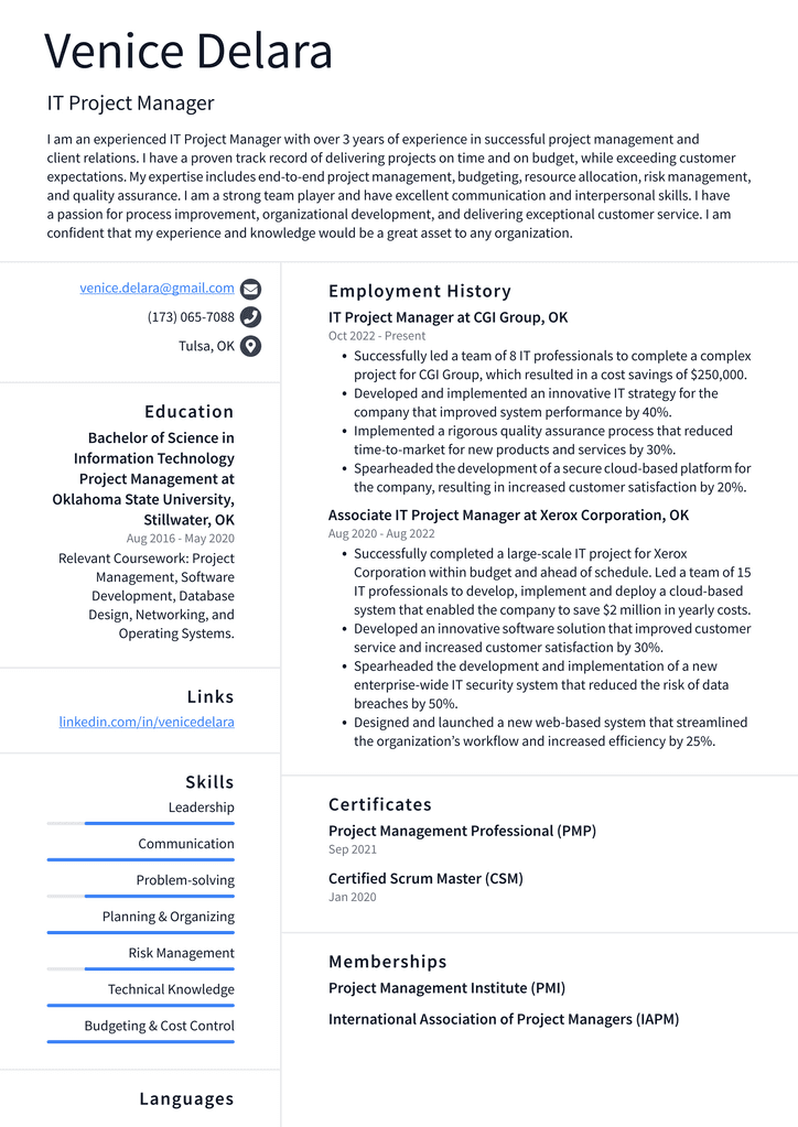 Meta It Project Manager Resume Examples Resumecat - Free Word Template