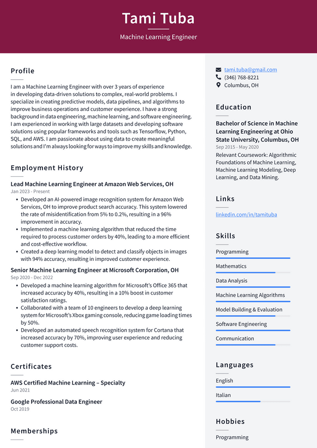 Meta Machine Learning Engineer Resume Example