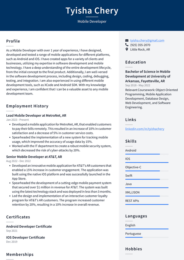 Meta Mobile Developer Resume Example