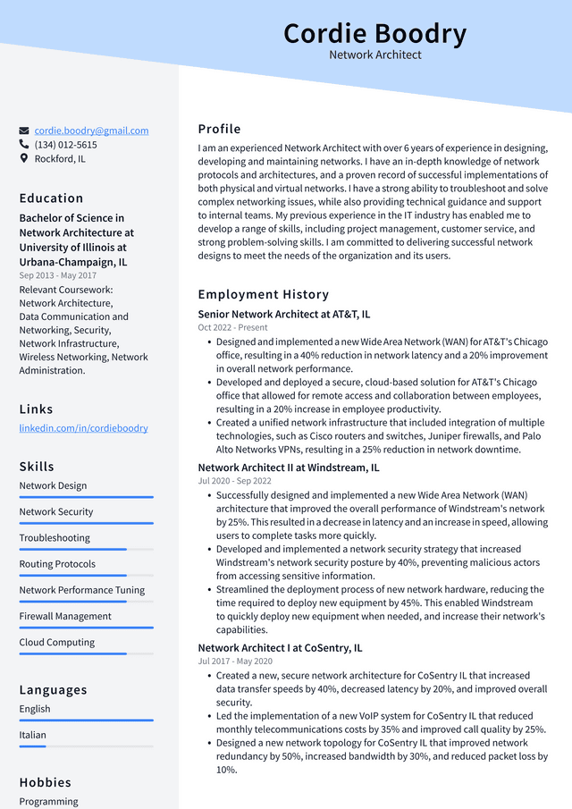 Meta Network Architect Resume Example