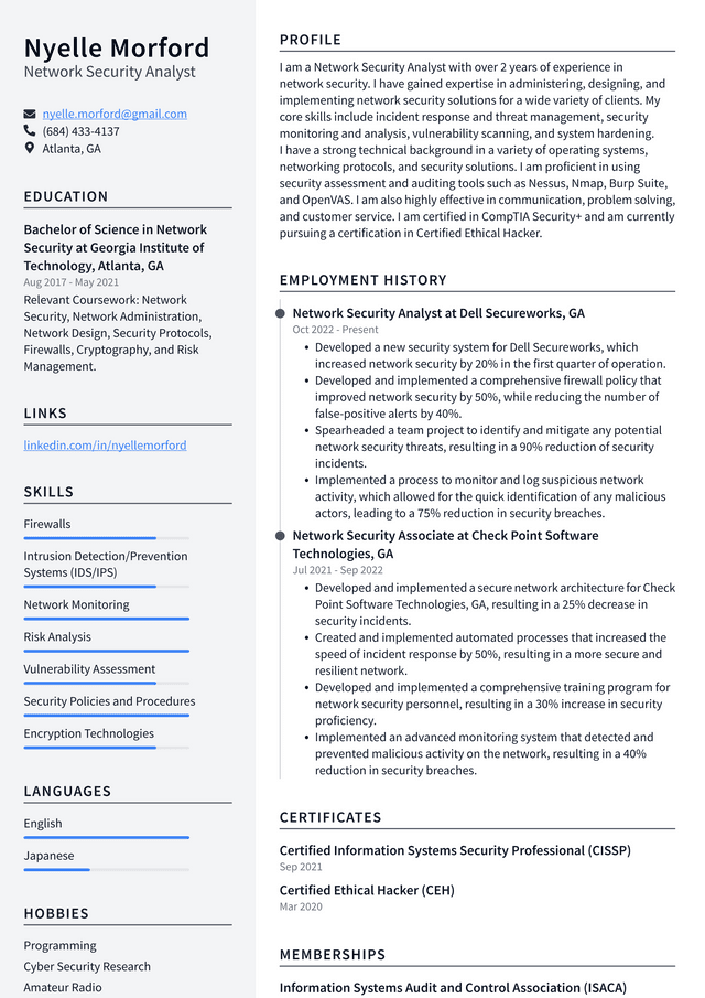 Meta Network Security Analyst Resume Example