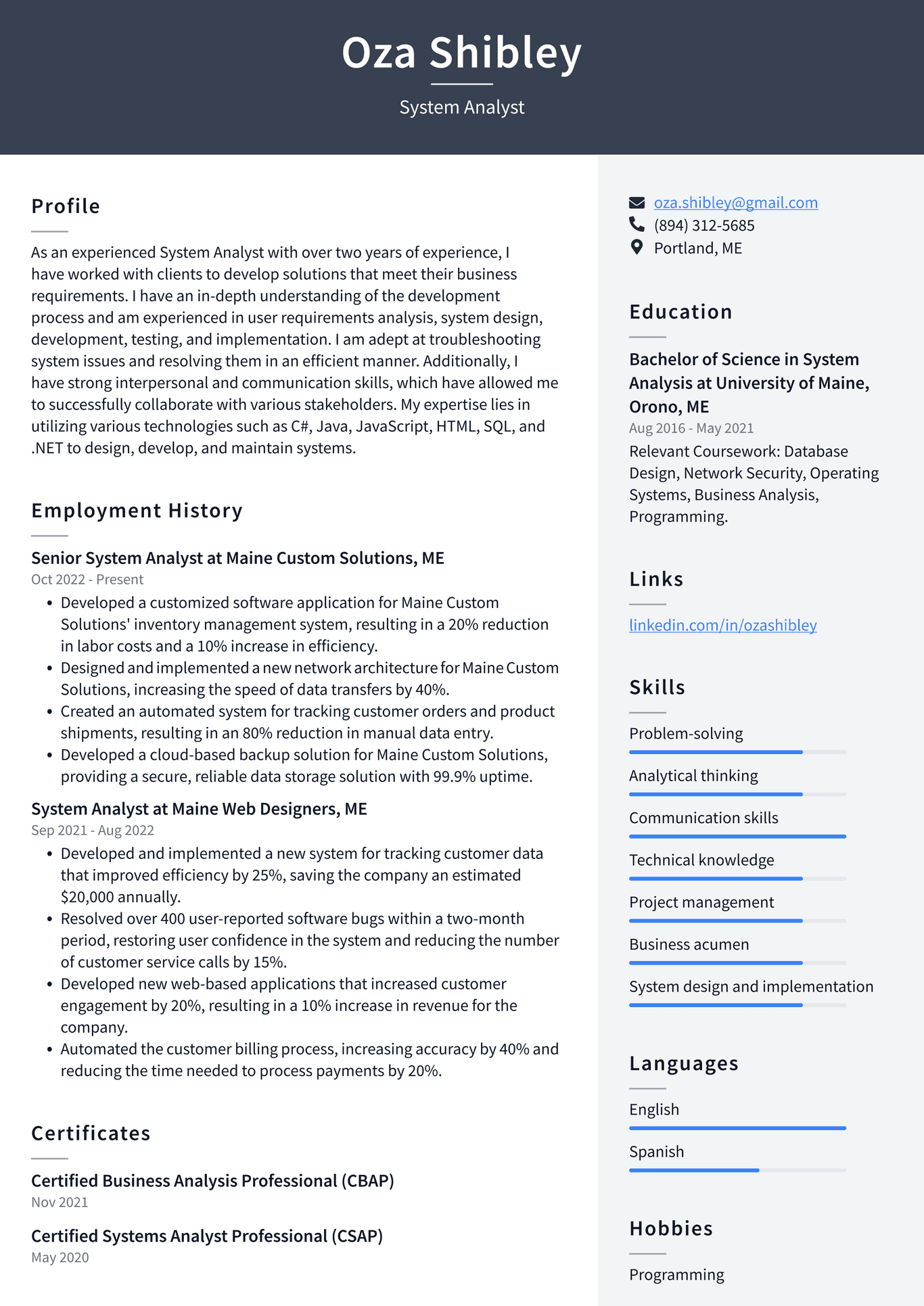 Meta System Analyst Resume Examples | ResumeCat