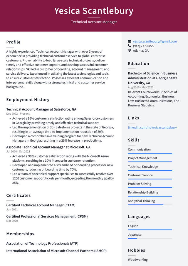 Meta Technical Account Manager Resume Example