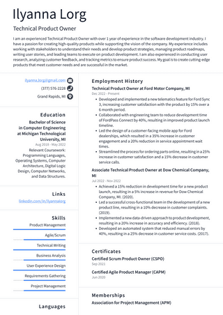 Meta Technical Product Owner Resume Examples | ResumeCat