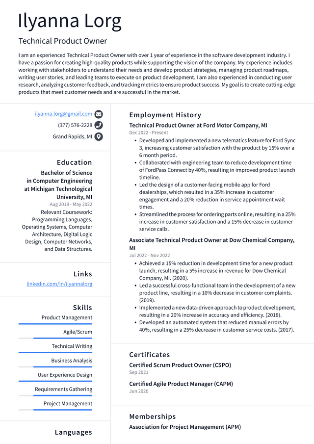 Meta Technical Product Owner Resume Examples ResumeCat