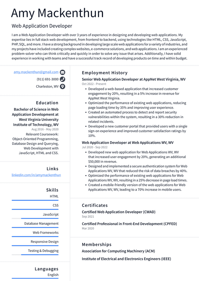 Meta Web Application Developer Resume Example