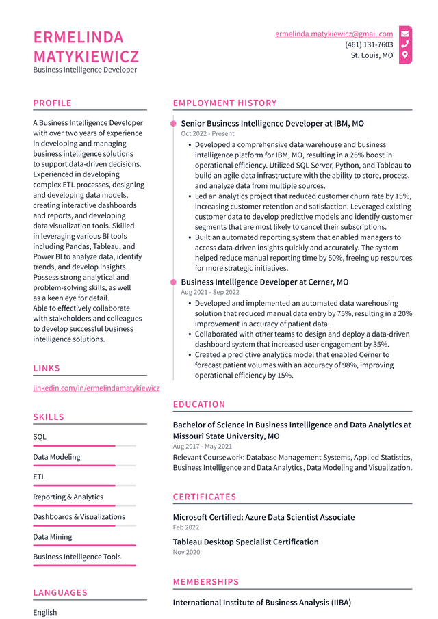 Microsoft Business Intelligence Developer Resume Example