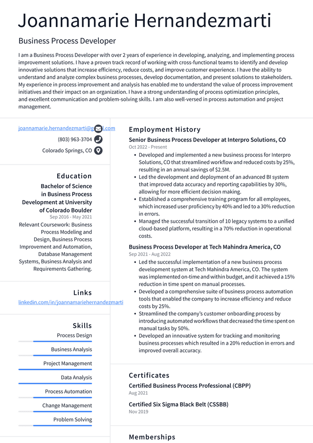 Microsoft Business Process Developer Resume Example