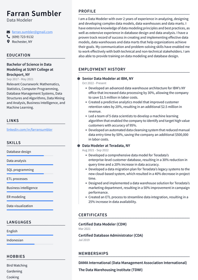 Microsoft Data Modeler Resume Example