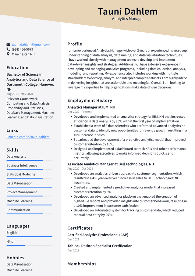 Netflix Analytics Manager Resume Example