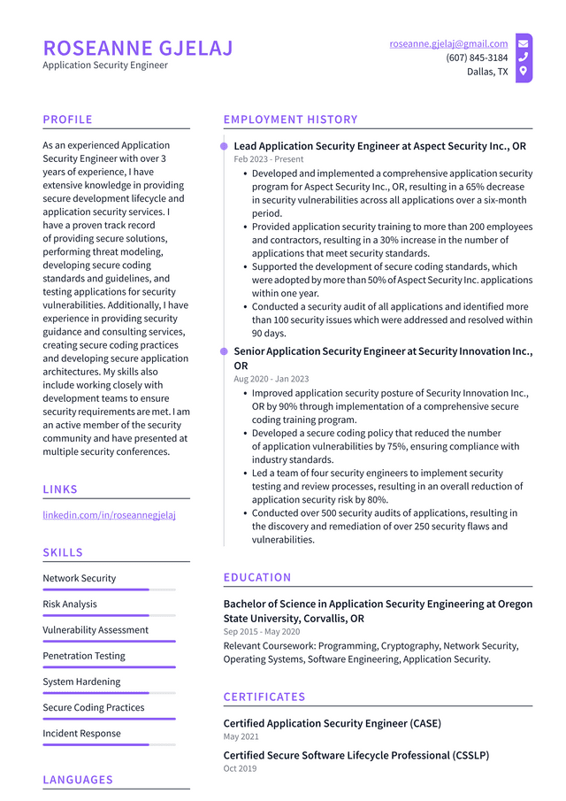 Netflix Application Security Engineer Resume Example