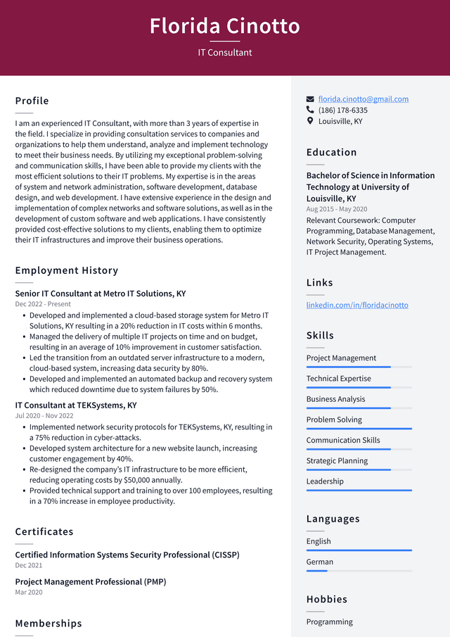 Netflix IT Consultant Resume Example