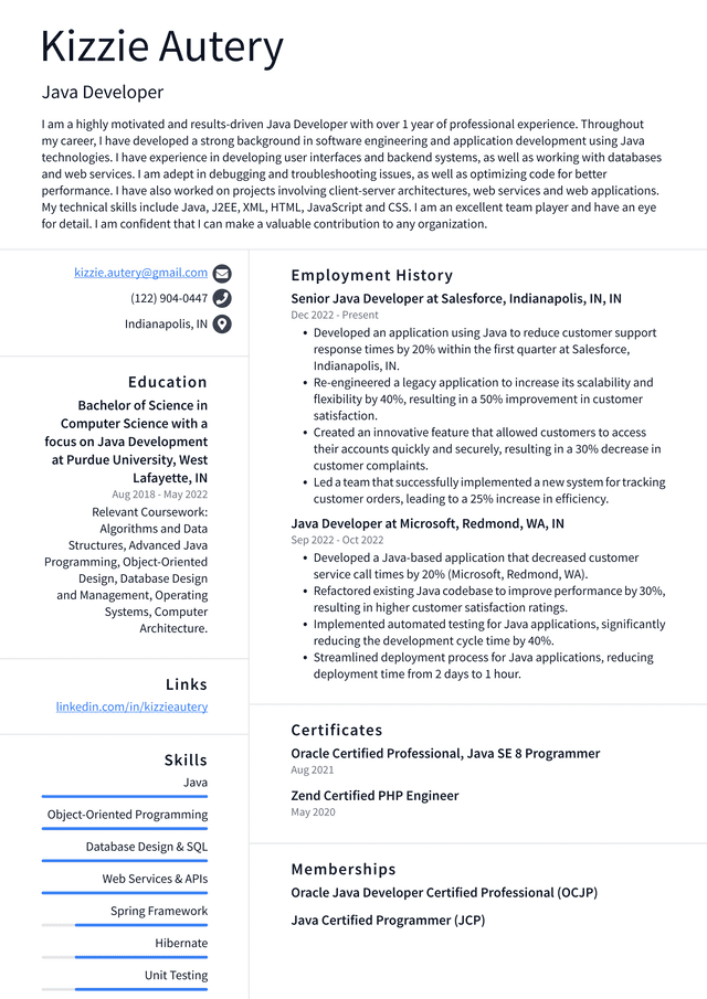 Netflix Java Developer Resume Example