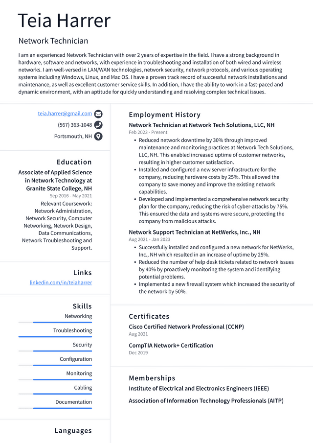 Netflix Network Technician Resume Example