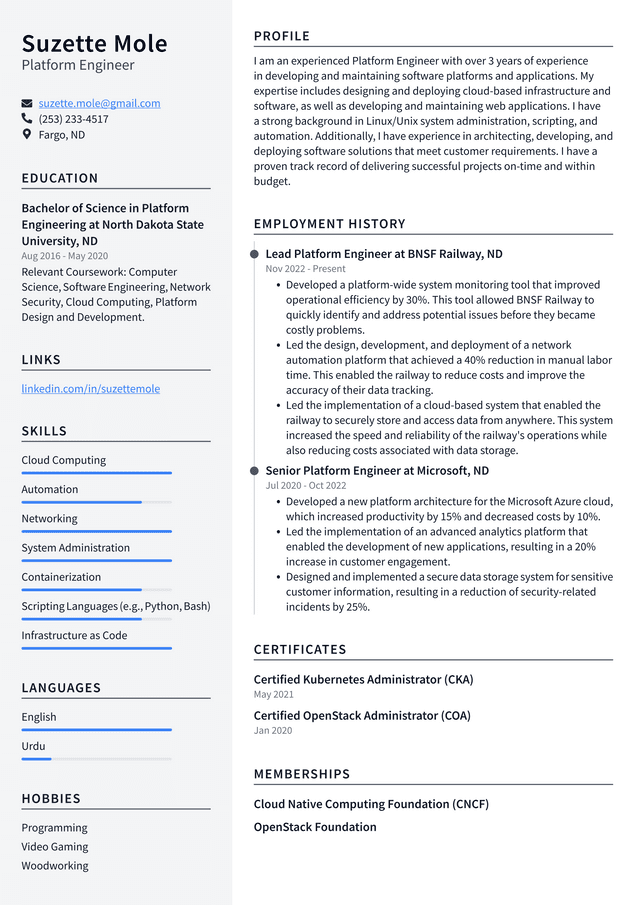 Netflix Platform Engineer Resume Example