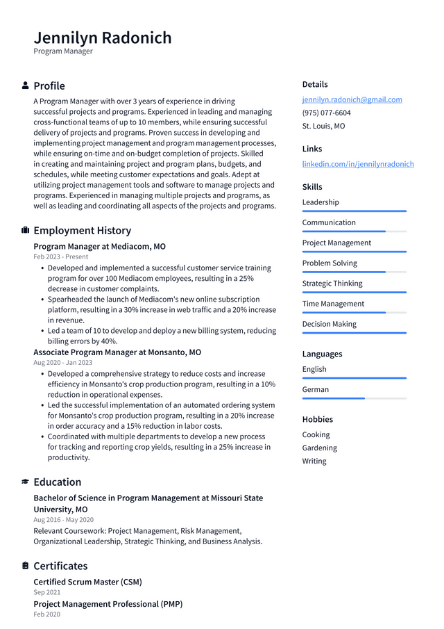 Netflix Program Manager Resume Example