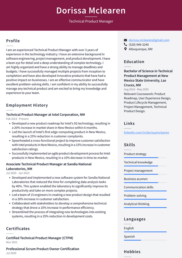 Netflix Technical Product Manager Resume Example