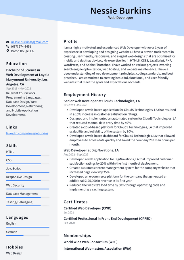 Netflix Web Developer Resume Example