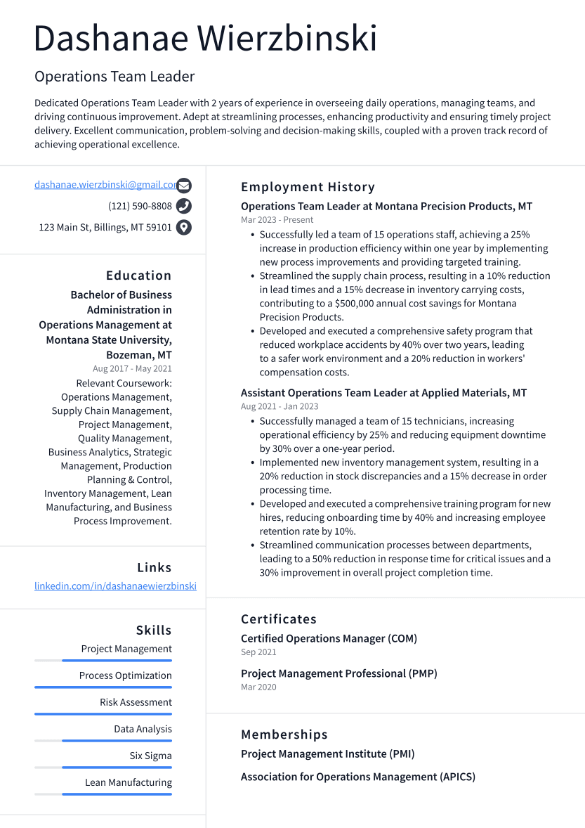 Operations Team Leader Resume Example