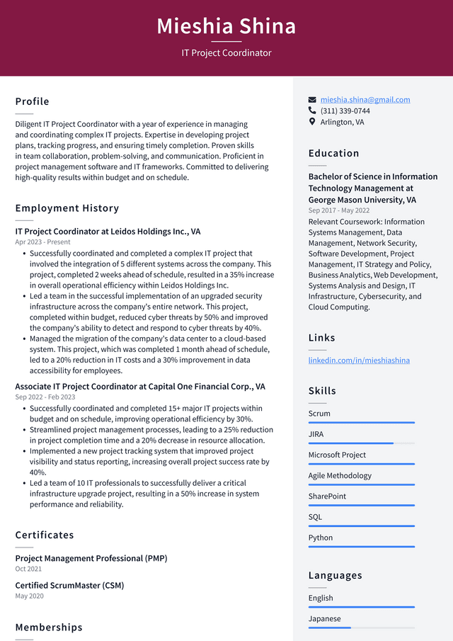 Oracle IT Project Coordinator Resume Example