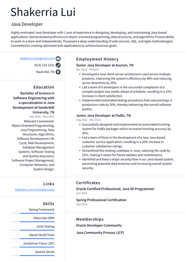 Oracle Java Developer Resume Example