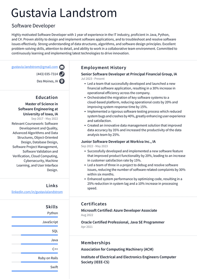 Oracle Software Developer Resume Example