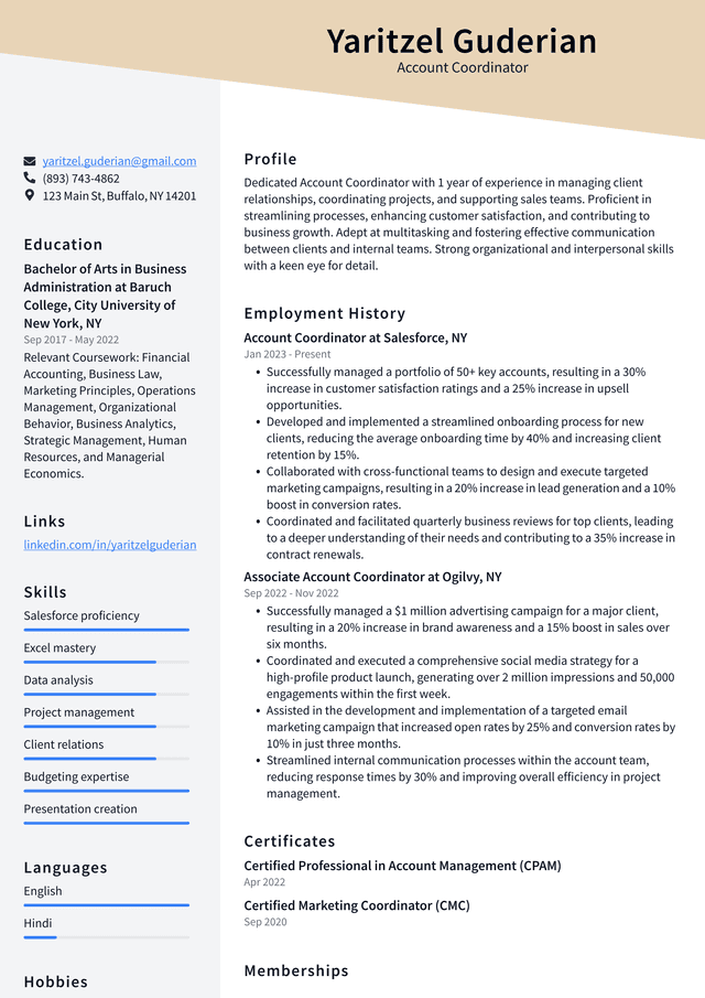 Pinterest Account Coordinator Resume Example