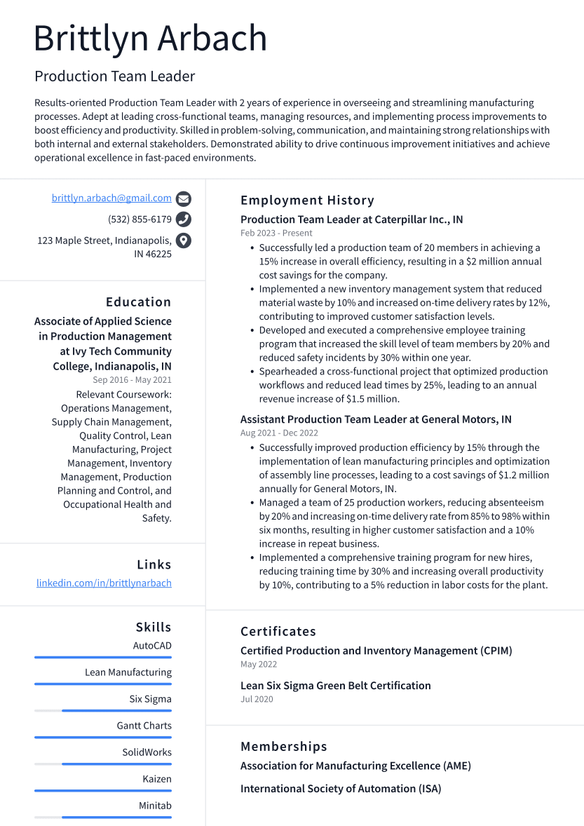 Production Team Leader Resume Example