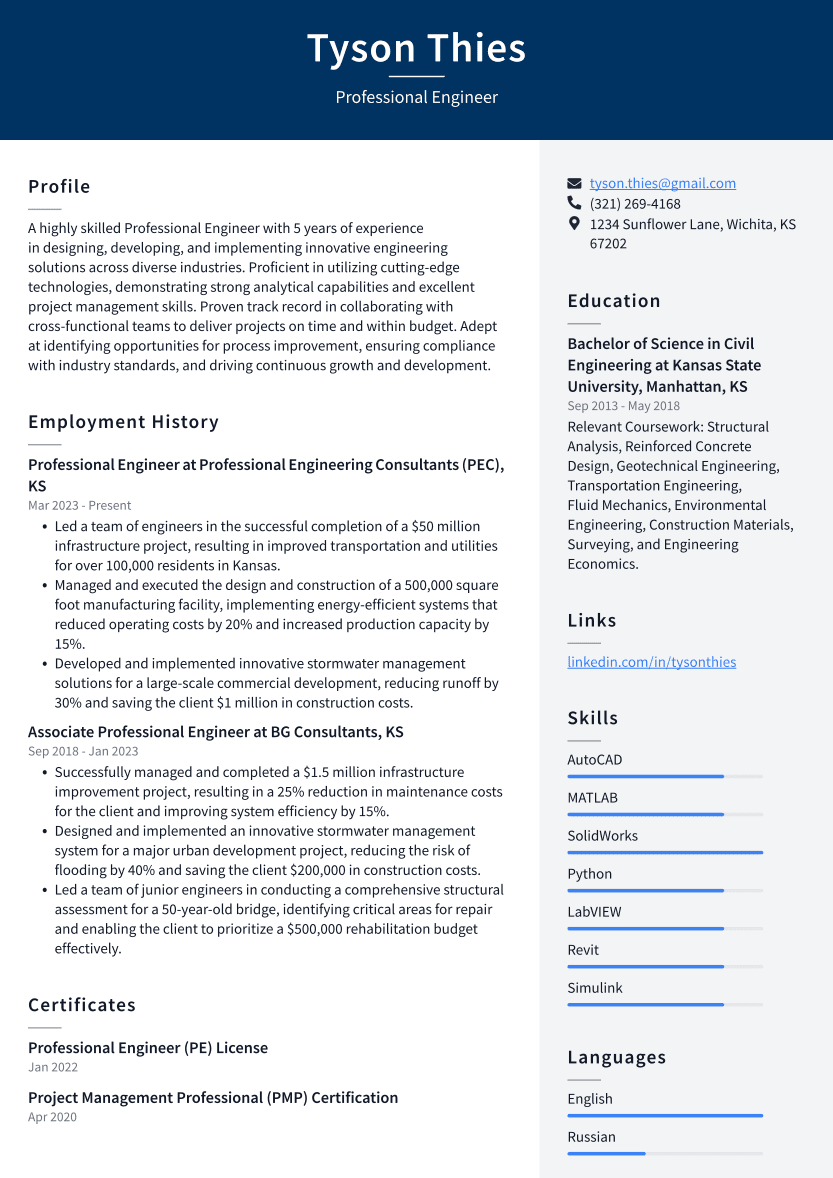 Professional Engineer Resume Example