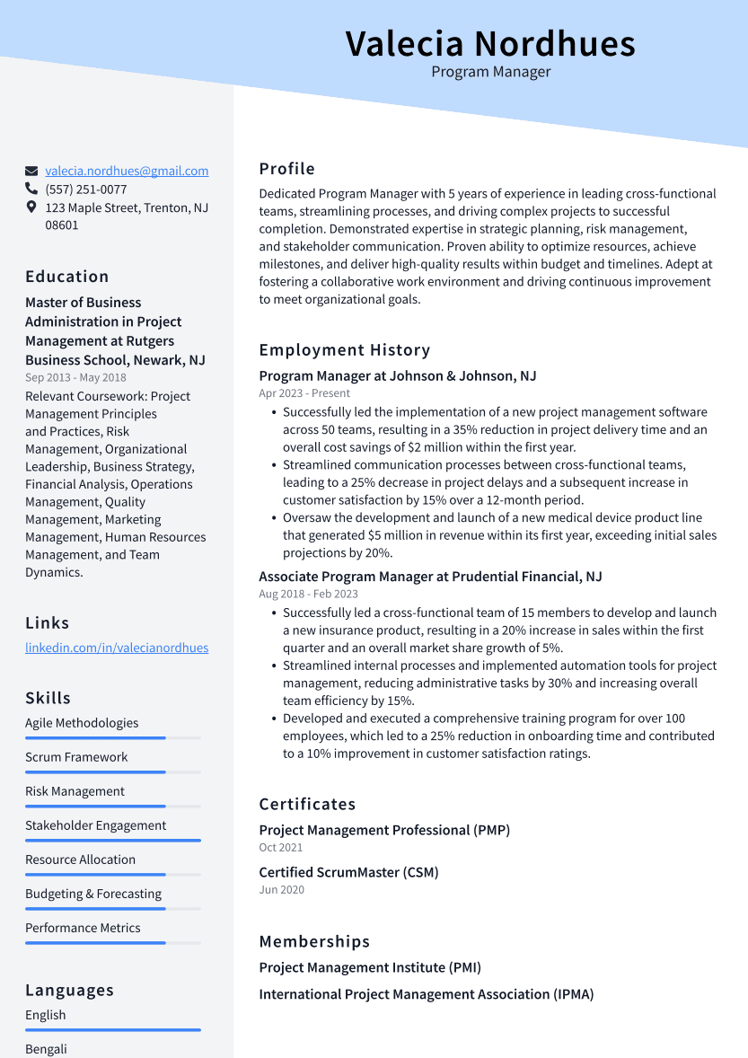 Program Manager Resume Template Download