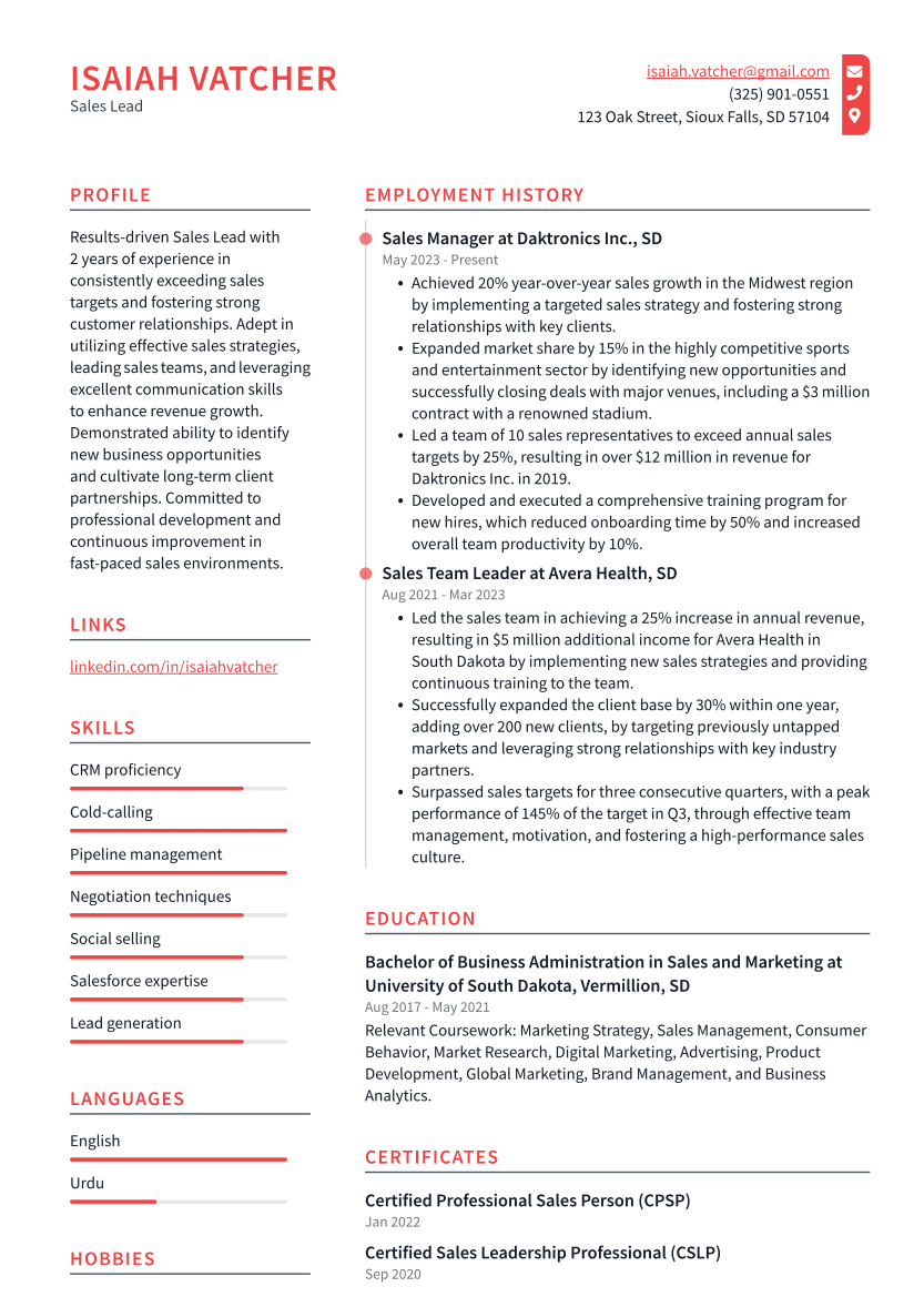 Sales Lead Resume Example